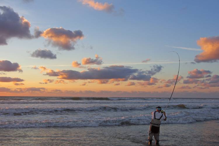 Things To Do Surf Fishing